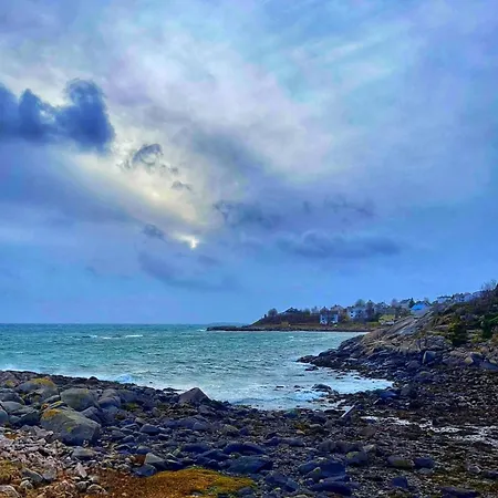 Kunstnerboligen I - Din Kreative Loshavn