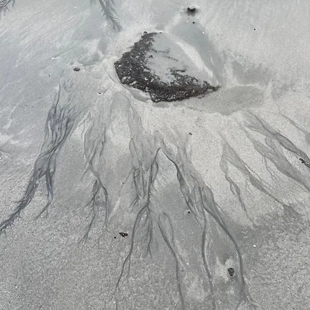 Privatunterkunft Kunstnerboligen I - Din Kreative Loshavn