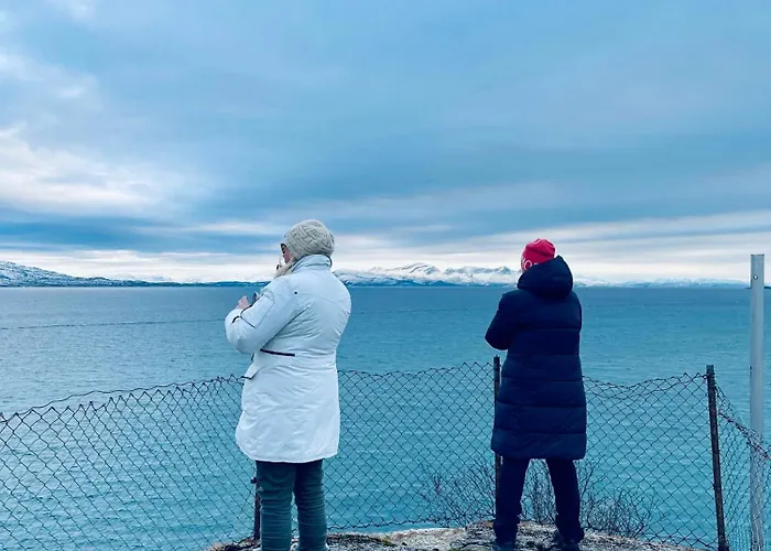 Séjour chez l'habitant Kunstnerboligen I - Din Kreative Loshavn Lodingen